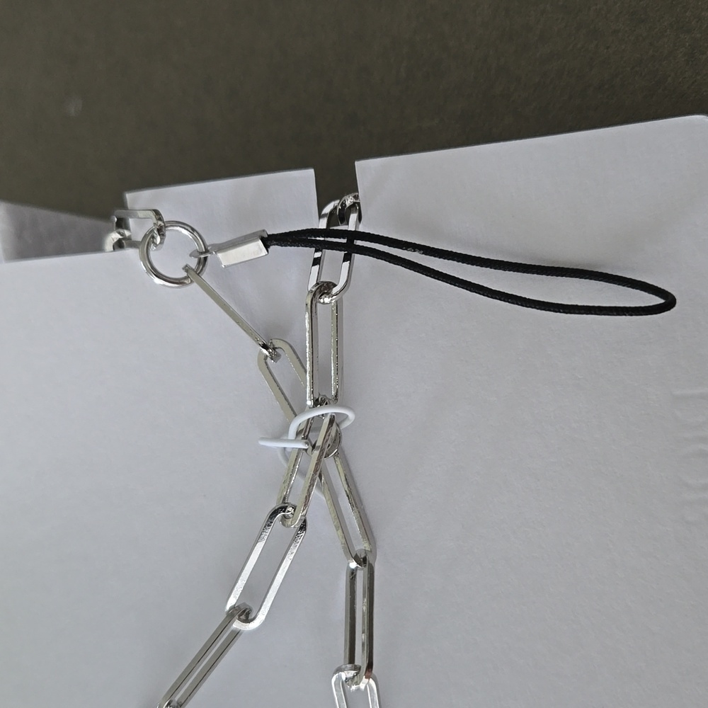 Brand New in Box DIOR phone charm silver 5x detachable charms Star 🌟 Dior chain - Picture 3 of 7
